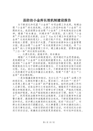 县防治小金库长效机制建设报告