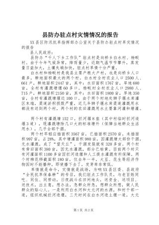 县防办驻点村灾情情况的报告