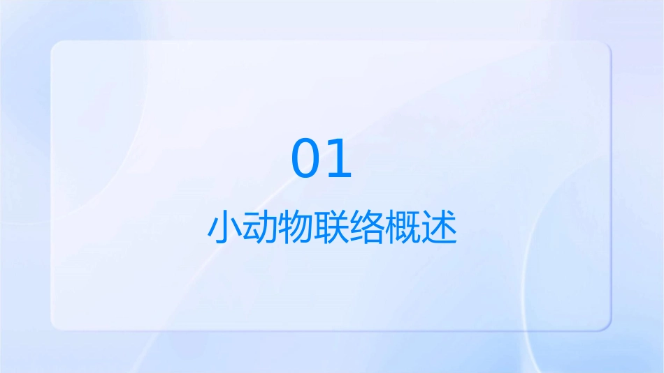 小动物怎样联络课件_第3页