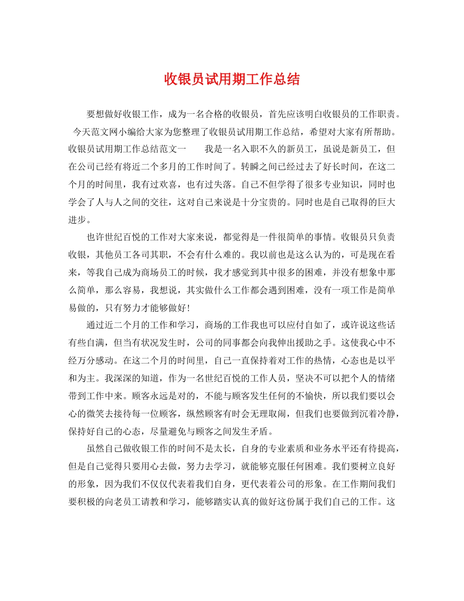 收银员试用期工作总结 _第1页