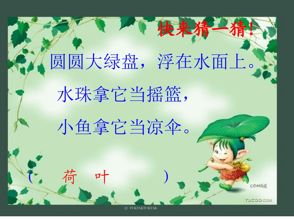 荷叶圆圆靳艳霞_第2页