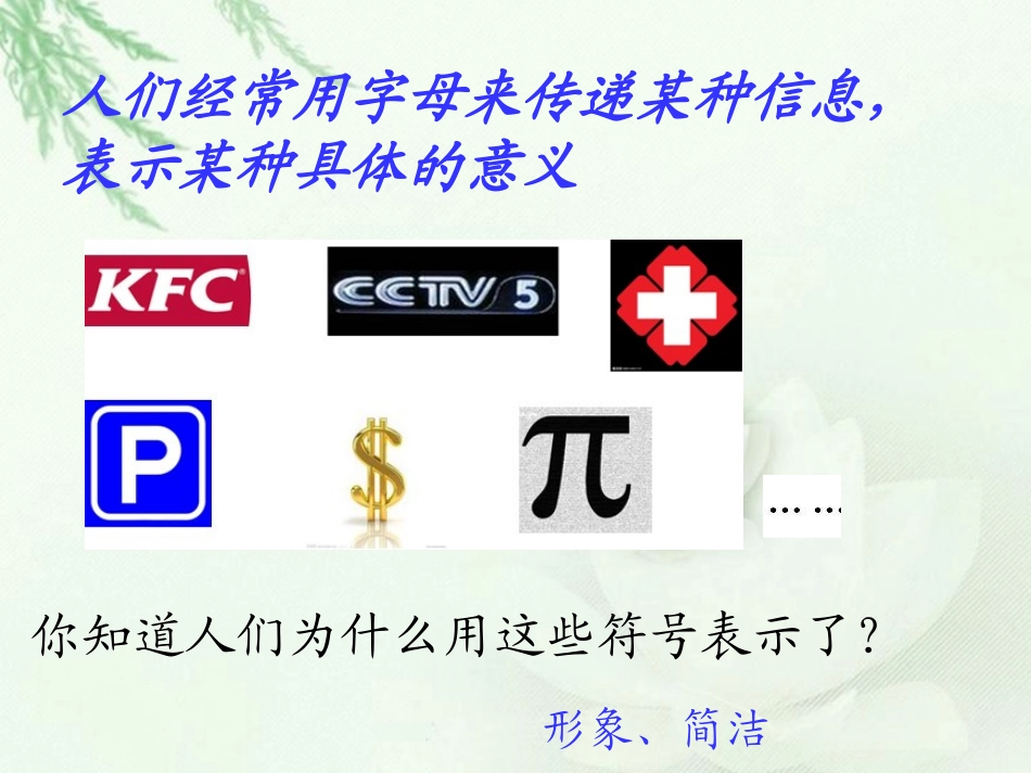 《字母表示数》（)_第3页
