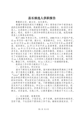 县长候选人供职报告