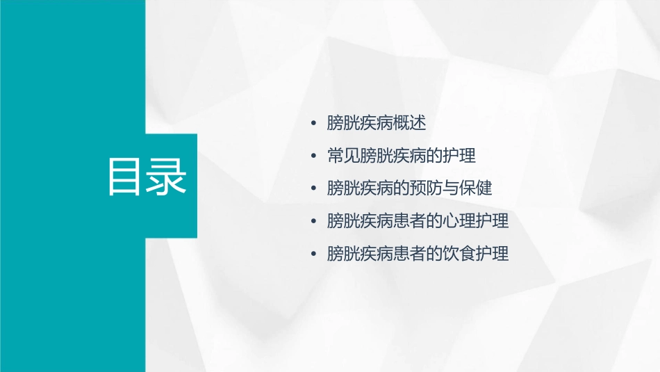 常见膀胱疾病护理课件_第2页