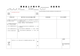 比较金属的活动性实验实验报告