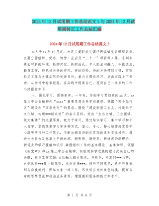 2024年12月试用期工作总结范文2与2024年12月试用期转正工作总结汇编