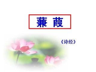 《蒹葭》课件（可用）