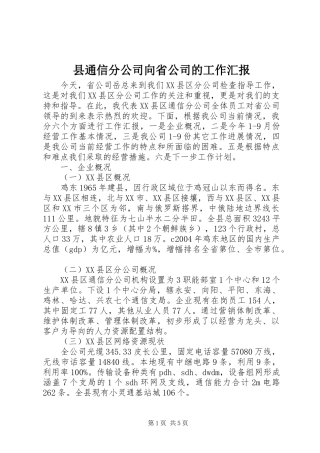 县通信分公司向省公司的工作汇报