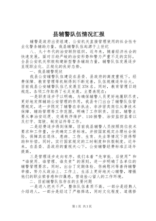 县辅警队伍情况汇报