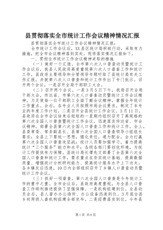 县贯彻落实全市统计工作会议精神情况汇报