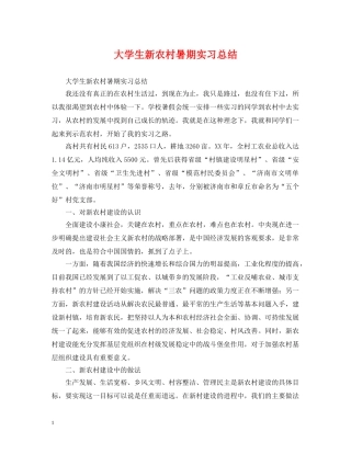 大学生新农村暑期实习总结 