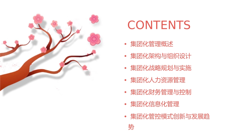 某著名国企集团化管理方案课件_第2页