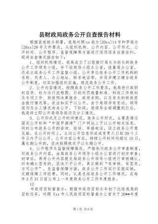 县财政局政务公开自查报告材料