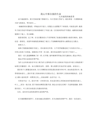 我心中那自强的生命