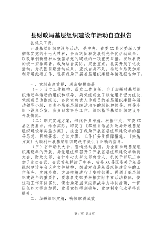 县财政局基层组织建设年活动自查报告