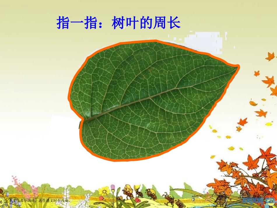 与圆有关的组合图形的周长课件_第3页