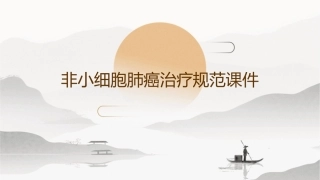 非小细胞肺癌治疗规范课件