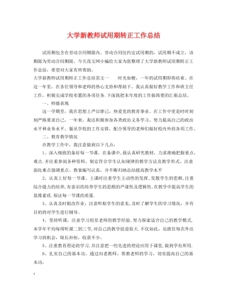 大学新教师试用期转正工作总结 