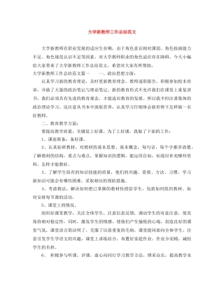 大学新教师工作总结范文 
