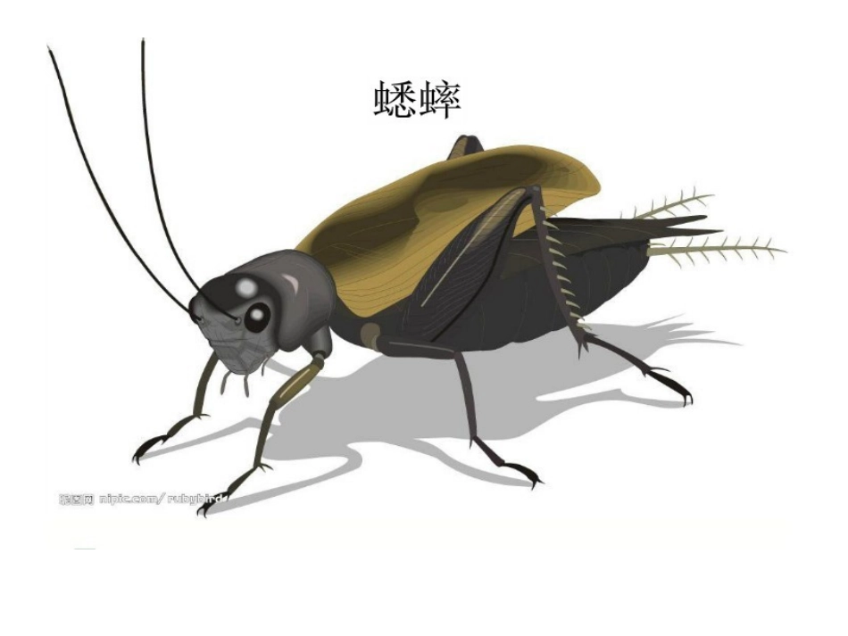 小学语文S版二年级上册语文百花园六(1)_第3页