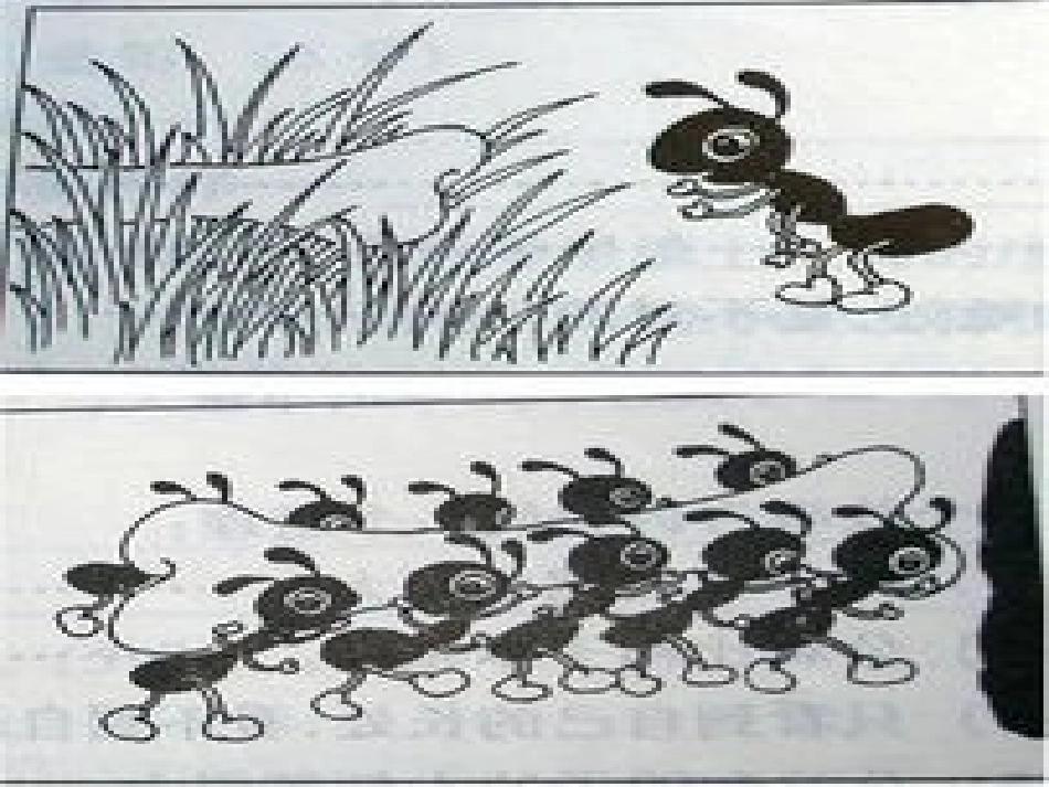 看图写话团结_第2页