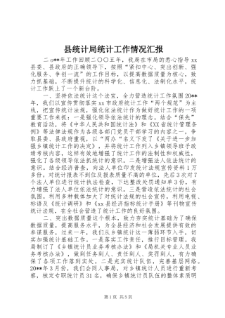县统计局统计工作情况汇报