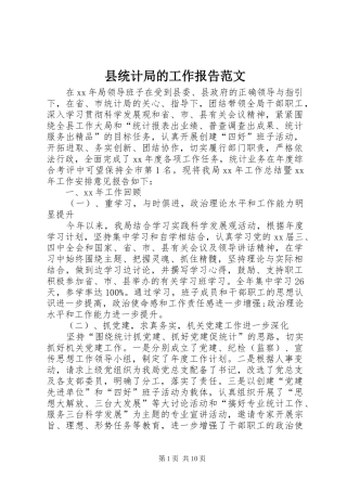 县统计局的工作报告范文