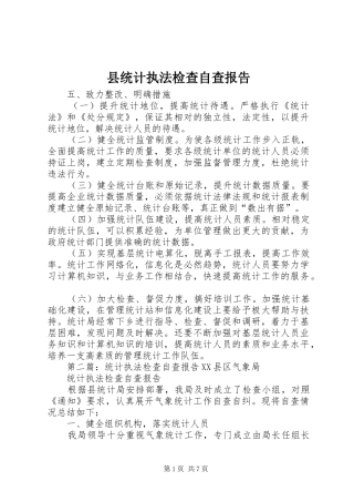 县统计执法检查自查报告