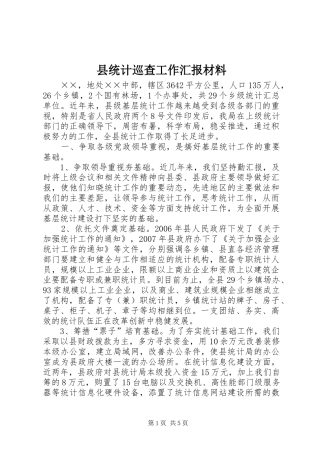 县统计巡查工作汇报材料