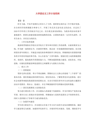 大学团总支工作计划范例 