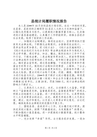 县统计局履职情况报告
