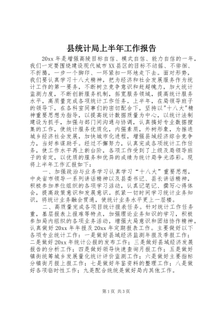 县统计局上半年工作报告