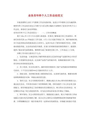 业务员年终个人工作总结范文 