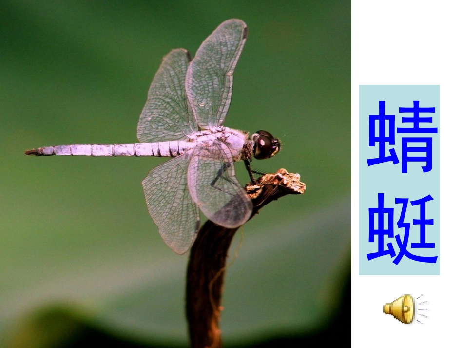 《识字四》上课用修改_第3页