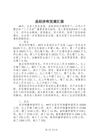 县经济和发展汇报