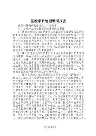 县级项目管理调研报告