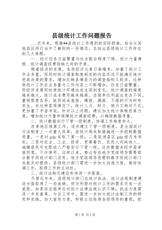 县级统计工作问题报告