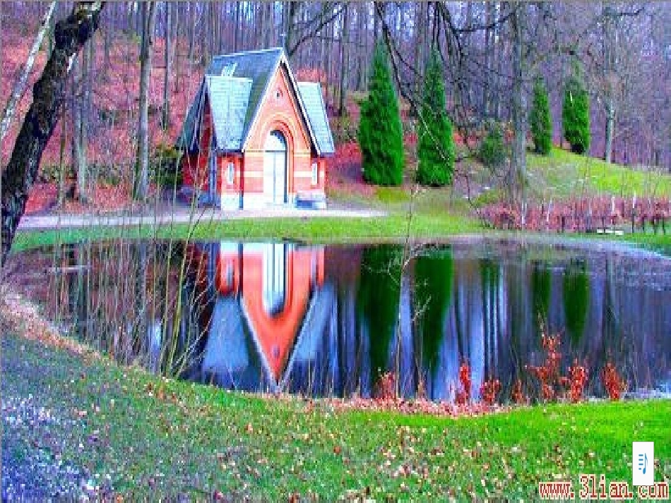 《影子》PPT课件_第2页