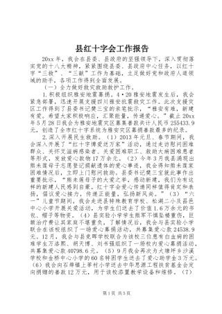 县红十字会工作报告