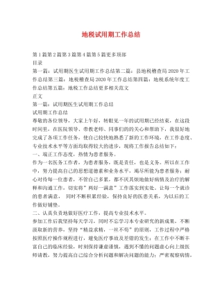 地税试用期工作总结 
