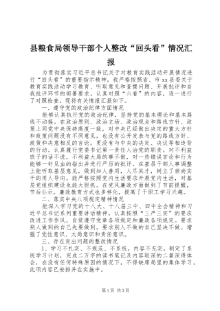 县粮食局领导干部个人整改“回头看”情况汇报