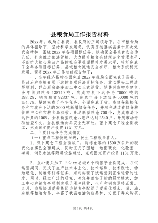 县粮食局工作报告材料