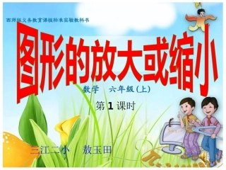 -图形的放大与缩小1