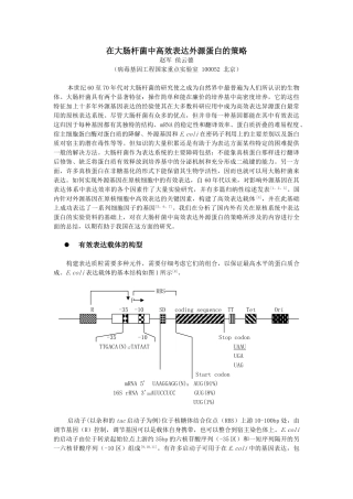 在大肠杆菌中高校表达外源蛋白的策略