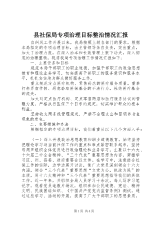 县社保局专项治理目标整治情况汇报