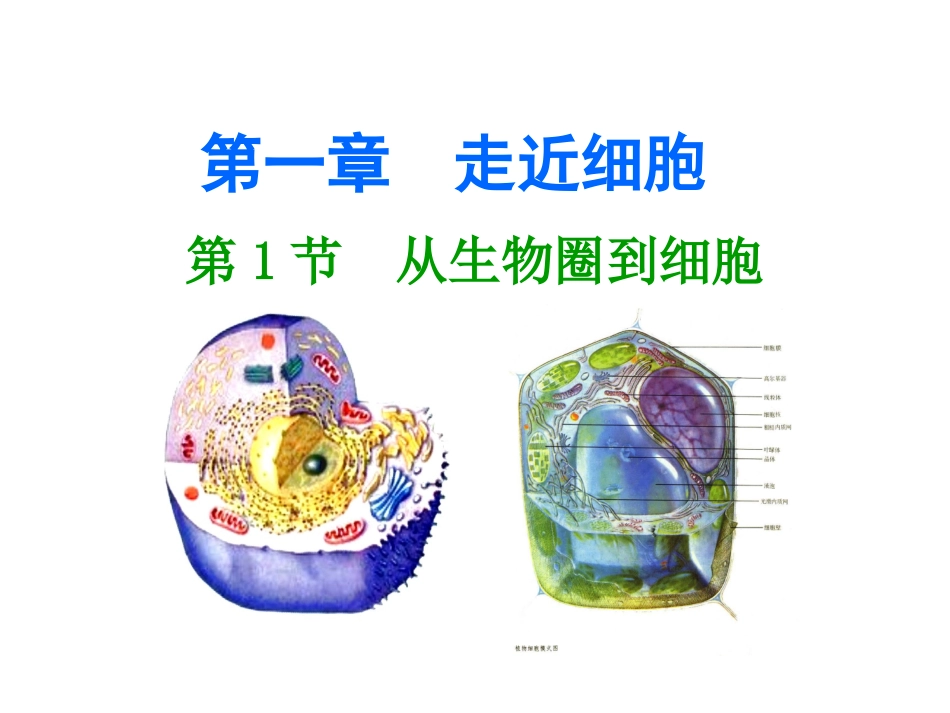 细胞和生物圈_第1页
