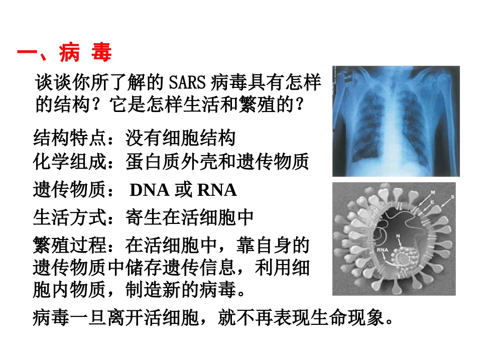 细胞和生物圈_第2页