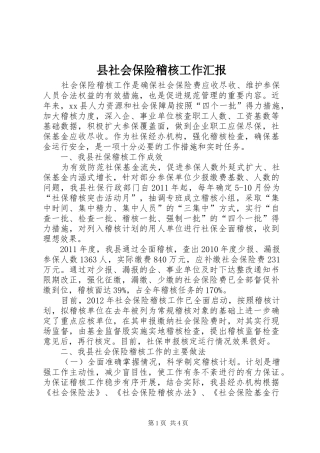 县社会保险稽核工作汇报