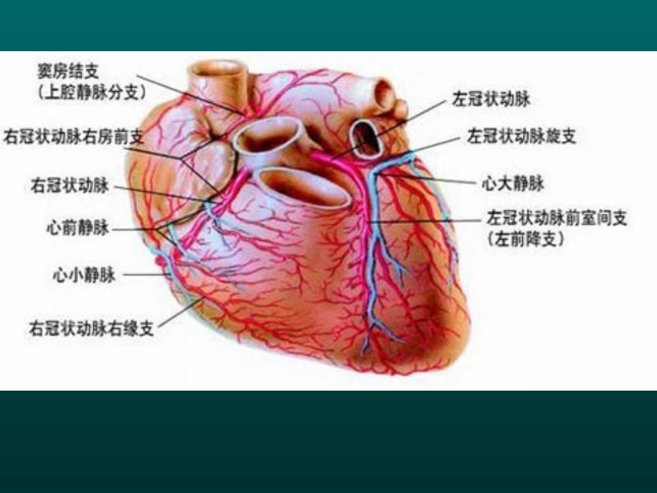 体育教学损伤现场处理_第3页