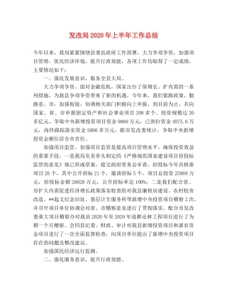 发改局2020年上半年工作总结2 
